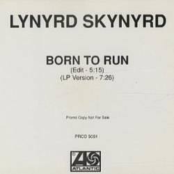 Lynyrd Skynyrd : Born to Run